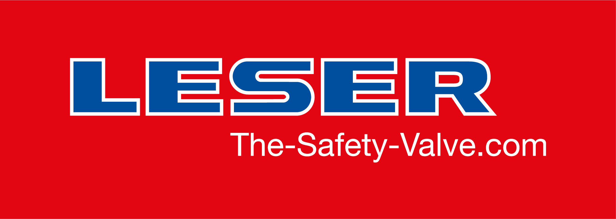 Logo Brygida Rudzińska, Sales, LESER Polska Sp. z o.o. | Metrus GmbH